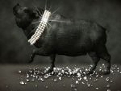 Pigs and Diamonds